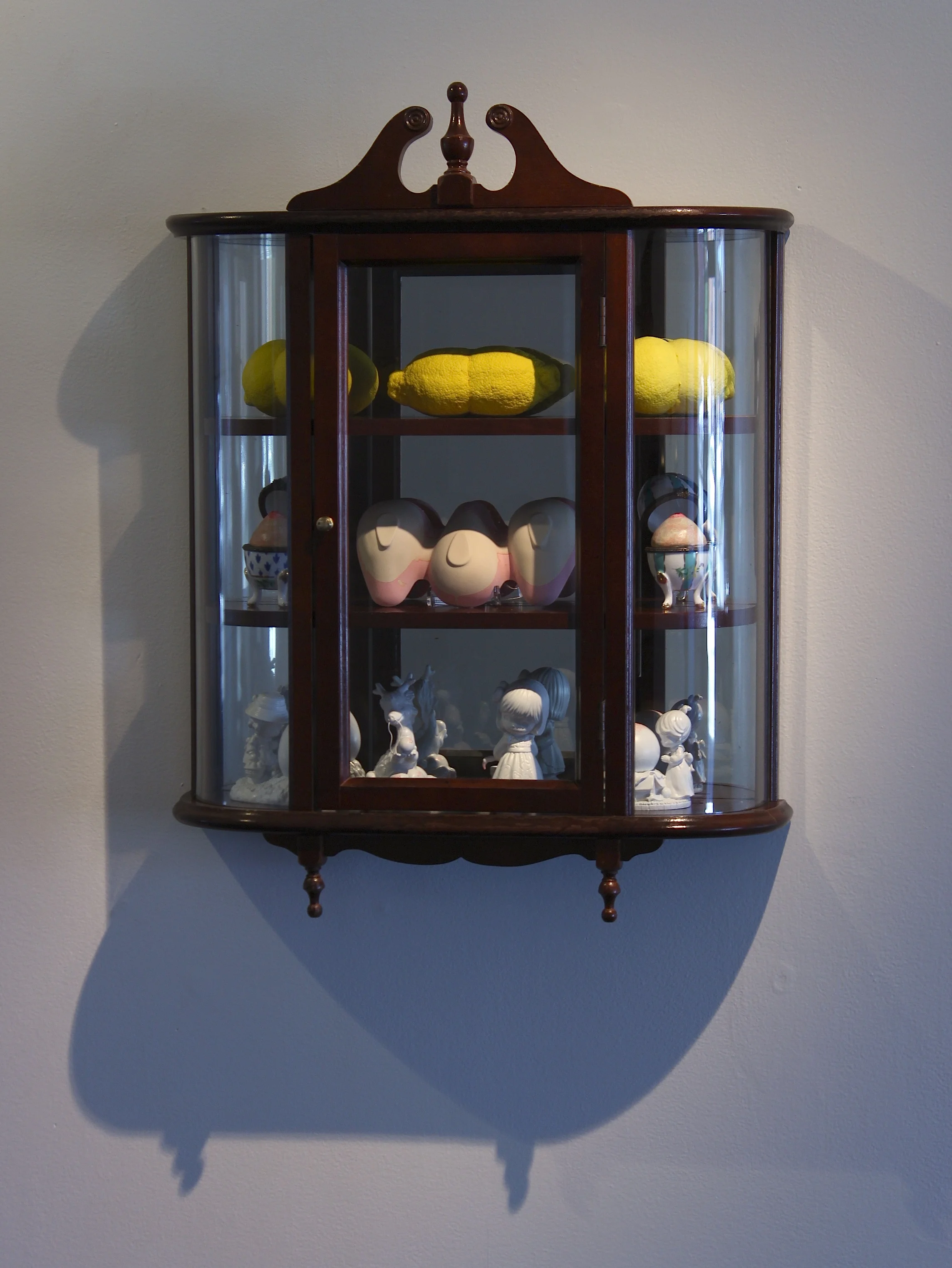 洋書 Cabinets of Curiosities Cabinet of Curiosities: Collecting and Understanding the